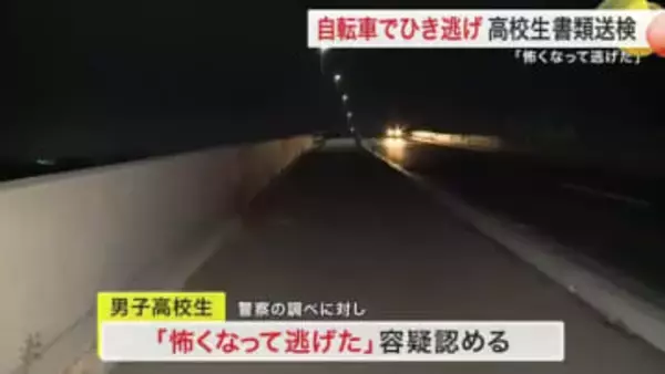 「怖くなって逃げた」自転車でひき逃げ 高校生書類送検　ジョギング中の男性はねられ全治３カ月〈宮城〉