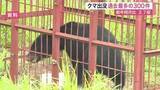 「宮城県内の５月クマ目撃が過去最多３００件 去年の２.７倍に急増　仙台でも緊急銃猟」の画像1