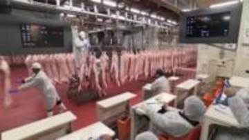 仙台市中央卸売市場で食肉部が２０２５年最後の競り　猛暑の影響あるも年末は価格安定で推移