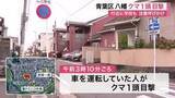 「青葉区八幡の住宅街で体長７０センチのクマ１頭が目撃　学校付近で警察が警戒にあたるも未発見〈仙台市〉」の画像1