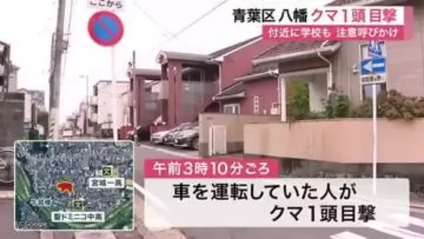 青葉区八幡の住宅街で体長７０センチのクマ１頭が目撃　学校付近で警察が警戒にあたるも未発見〈仙台市〉