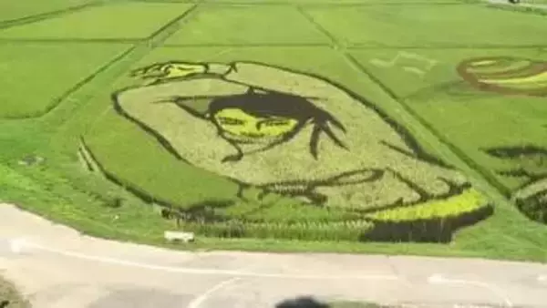 プロスケーター羽生結弦さんが水田に　角田市の恒例「田んぼアート」が見頃を迎える〈宮城〉