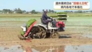 ＧＷ最終日にやっと田植え日和　美里町で「ひとめぼれ」の作付け本格化　コメ不足受け面積拡大も〈宮城〉