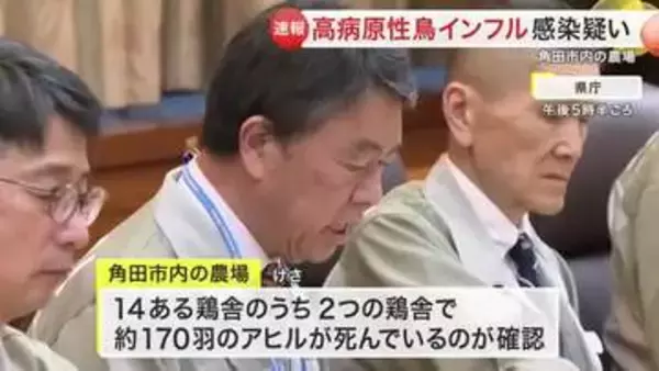 「角田市のアヒル１７０羽が死ぬ 鳥インフル陽性反応で遺伝子検査　判明すれば今季宮城県内初」の画像