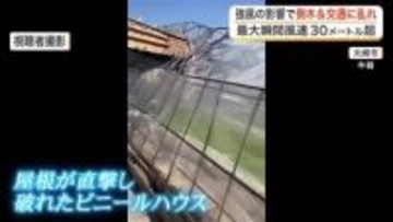 【宮城】最大瞬間風速３０メートル超　県内各地で倒木などの被害相次ぐ　在来線は２万６０００人に影響