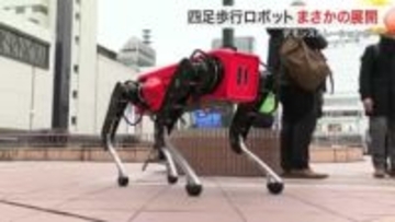 仙台駅前で四足歩行ロボットがまさかの転倒　デモンストレーションは急遽中止に「温かく見守って…」