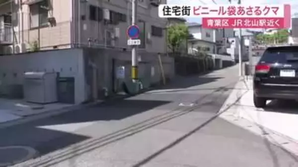 路上でビニール袋をあさるクマ目撃　青葉区の住宅街に出没　住民に不安広がる〈仙台市〉