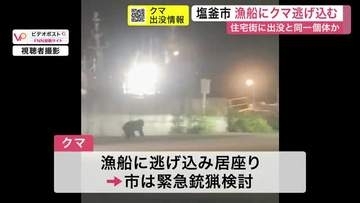 クマがパトカーから逃げ漁船に…居座り→海に飛び込み→再び陸地　連休中の港町でクマ騒動〈宮城・塩釜市〉