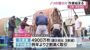 品質良く高値で取引される石巻産のノリ　今シーズンの種付け作業が開始　１１月上旬から収穫へ〈宮城〉