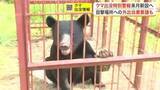 「クマ出没で外出自粛も？宮城県が「特別警報」を新たに導入　死亡事故発生や目撃数３倍超で最大級の警戒を」の画像1