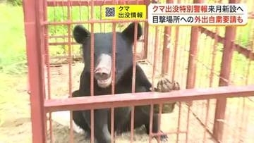 クマ出没で外出自粛も？宮城県が「特別警報」を新たに導入　死亡事故発生や目撃数３倍超で最大級の警戒を