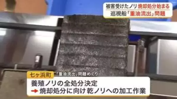 海保巡視船の重油流出で被害を受けたノリの焼却処分が七ヶ浜町で開始　被害額は３億円に上る可能性〈宮城〉