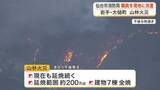 「延焼範囲２００ヘクタール　岩手県大槌町の山林火災は現在も延焼中　仙台市消防局が職員７３人を現地へ派遣」の画像1
