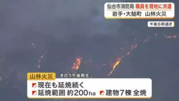 延焼範囲２００ヘクタール　岩手県大槌町の山林火災は現在も延焼中　仙台市消防局が職員７３人を現地へ派遣