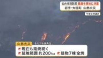 延焼範囲２００ヘクタール　岩手県大槌町の山林火災は現在も延焼中　仙台市消防局が職員７３人を現地へ派遣