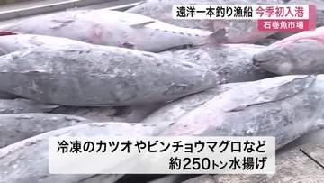 「おいしいカツオとマグロを 食べていただけたら」宮城・石巻魚市場に一本釣り漁船今季初入港