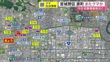 宮城野区の住宅地でクマ目撃相次ぐ　午前３時台に「黒い物体を見た」　宮城県などが緊急でやぶの刈り取り