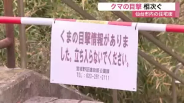 仙台市の住宅街でクマ目撃相次ぐ　南光台や仙台三高近く　警察が同一個体とみて警戒