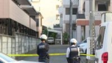 【速報】仙台市中心部のマンション敷地でクマを駆除　14時間にわたり茂みにとどまる　麻酔銃を活用