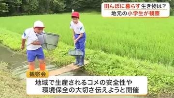 小学生が地元の田んぼに生息する生き物を観察　「自然が豊かでいいと思う」　希少な生き物も発見〈宮城〉