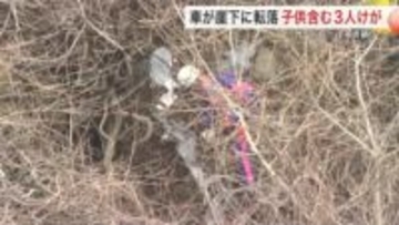 「ガードレールを突き破って転落」女性と未就学児２人がけが　乗用車が数十メートル崖下へ　宮城・富谷市