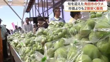 週末の宮城県内のイベント　障がいの有無にかかわらず楽しむフットサル大会　特産のウメを販売「梅まつり」