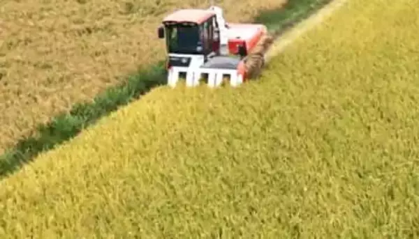 いつまで続く？コメ価格高騰の裏にある「概算金」の上昇　市場なき取引の限界と 問われる“主食”の持続可能性