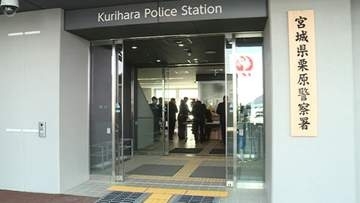 伐採作業中に落下した木に接触か　７０代男性が意識不明の重体〈宮城・栗原市〉