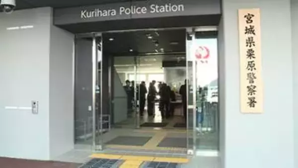 伐採作業中に落下した木に接触か　７０代男性が意識不明の重体〈宮城・栗原市〉