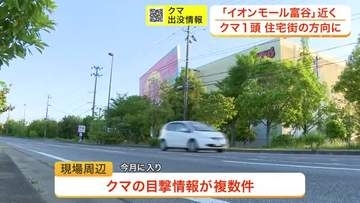 イオンモール富谷の近くで道路を横断するクマ　付近では複数の目撃情報が　警察が警戒呼びかけ〈宮城〉