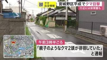 宮城野区の住宅街で親子とみられるクマ２頭を目撃　近くの保育園は園外活動や園庭の利用を急きょ中止　仙台