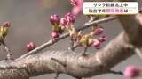 「仙台のサクラの開花は３月３１日以降に持ち越し　白石市では去年より５日早く開花発表」の画像1