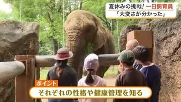 夏休みに動物園の裏側を体験　八木山動物公園のサマースクール　小学生がゾウのエサ作りなどに挑戦〈仙台〉