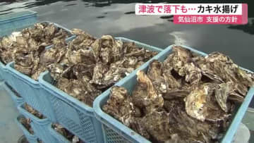 被害は養殖施設だけでなくカキにも…カムチャツカ半島沖地震津波で被災 気仙沼市で水揚げ始まる〈宮城〉