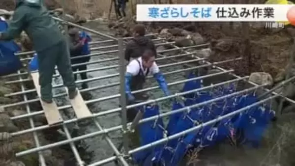 清流にソバの実を浸し甘み引き出す　川崎町で「寒ざらしそば」仕込み　３月１日から提供〈宮城〉