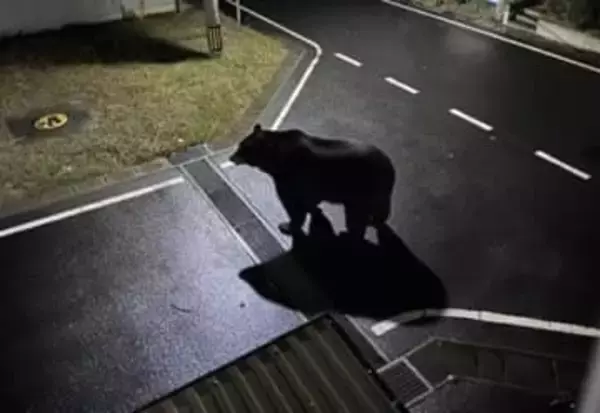 【フェイクと判明】女川町でクマ目撃「ここ15年で初」夜の保育所付近　SNSで画像付きで注意喚起も…