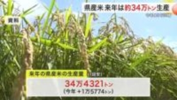 宮城県産米の生産目安３４万トン超に　２年連続引き上げで５％増　需要踏まえ作付面積も拡大