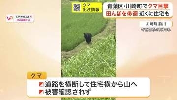 【動画あり】田んぼを徘徊→県道を横断　宮城県川崎町でクマ目撃　仙台市内でも目撃情報