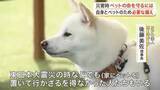 「災害時にペットの命を守るために　備えておきたい「ペット防災」　日頃からできる備えとは〈宮城〉」の画像1