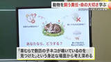 「小学校で動物を飼う責任や命の大切さを学ぶ出前授業　草むらで子ネコが鳴いているのを見つけたら？〈宮城〉」の画像1