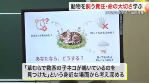 小学校で動物を飼う責任や命の大切さを学ぶ出前授業　草むらで子ネコが鳴いているのを見つけたら？〈宮城〉