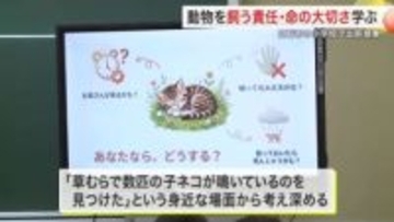 小学校で動物を飼う責任や命の大切さを学ぶ出前授業　草むらで子ネコが鳴いているのを見つけたら？〈宮城〉