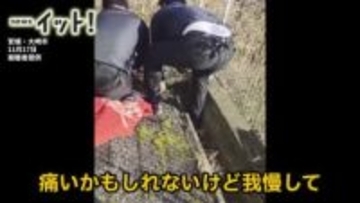 側溝にはまった“絶体絶命うり坊”「大丈夫、頑張れ」励ましながら引き上げ必死の救出劇〈宮城・大崎市〉