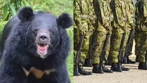 自衛隊はクマを撃てるのか？ 元自衛隊レンジャー弁護士が語る“出動の現実” 「クマは銃剣で倒せます」【2025年10月ベスト記事5位】