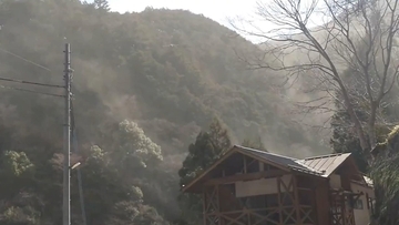 「何十年ぶりの光景」山火事と思うほどの花粉がSNSで話題に　東京・奥多摩で撮影された衝撃の光景を現地で確かめた