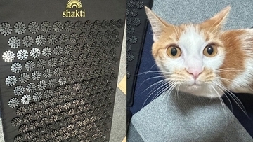 〈拷問マット人気の裏でヤバい代用〉シャクティマットの代わりに100均の「猫よけマット」を身体の下に…専門家が警鐘「知識のない人が自己流でやると危険」