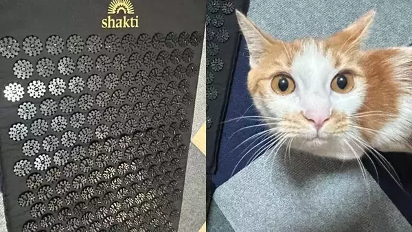 〈拷問マット人気の裏でヤバい代用〉シャクティマットの代わりに100均の「猫よけマット」を身体の下に…専門家が警鐘「知識のない人が自己流でやると危険」