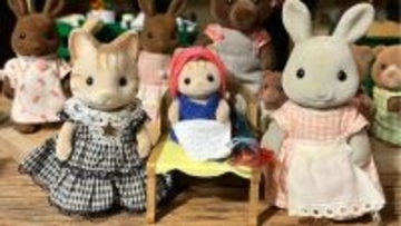 「シルバニアは私の“精神安定剤”」大人が癒やされる理由とは？  40代女性が語る“シル活”のリアル