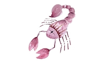 2023年12月の運勢　蠍座｜橘さくらの「未来予知」占星術