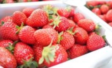 12粒で27万円のイチゴは誰が買う？ “高級すぎるフルーツ”が生まれる日本特有の背景